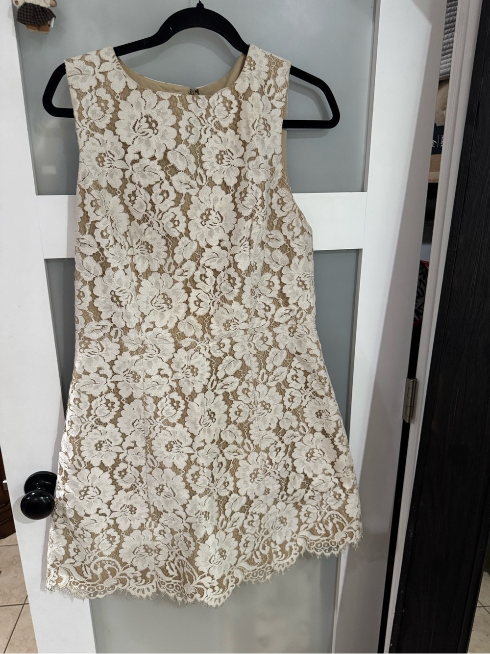 Alice + Olivia Cream Lace Mini Dress with Tan Underlay